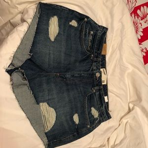 Beverly Hills Blue High Rise Shorts